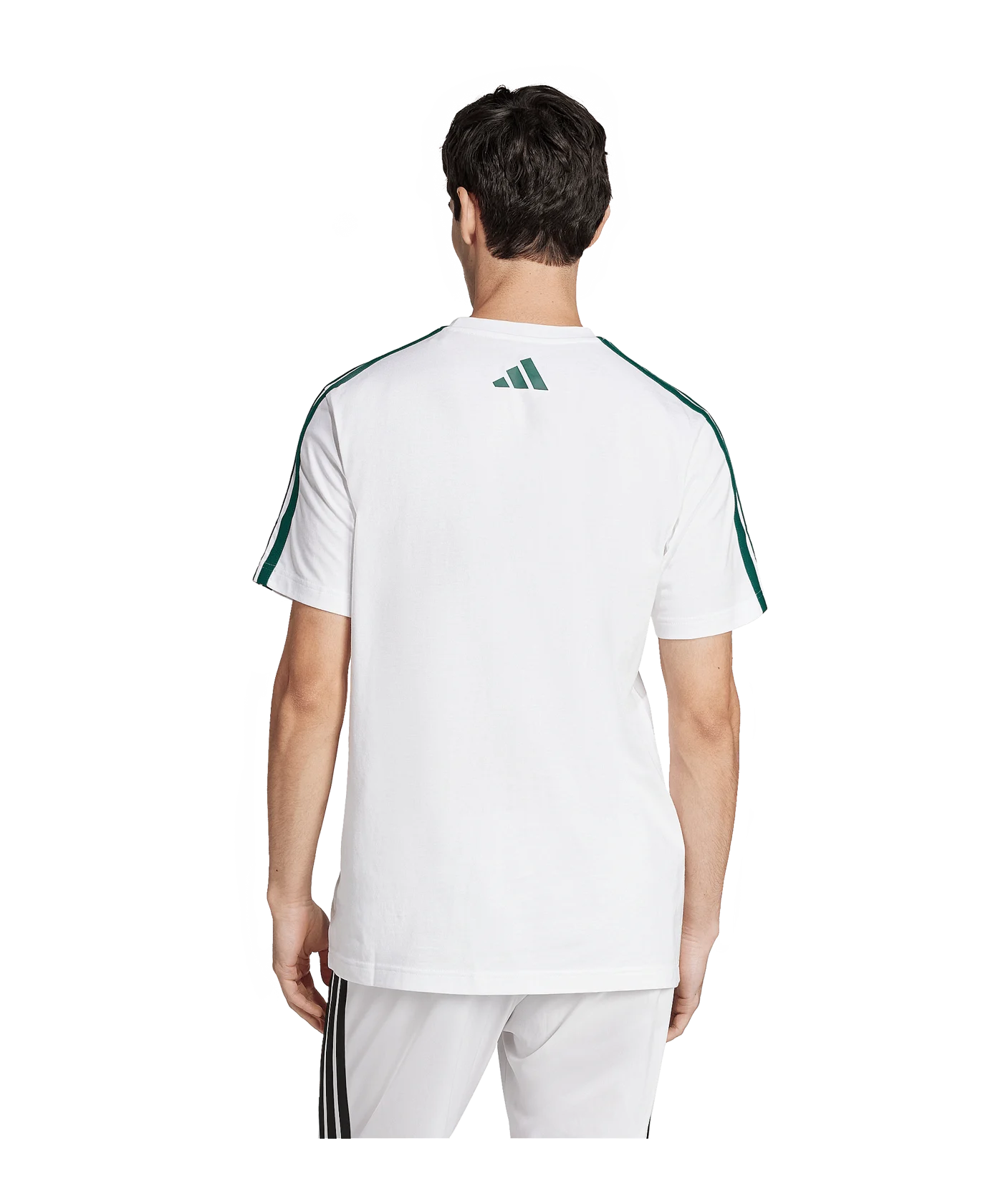 adidas Codes Collegiate Linear T-Shirt Weiss