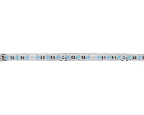 MaxLED 500 RGBW Strip 1 m 386 lm warm wit 60 LED's Uitbreiding op basisset 24V Smart Home compatibel na verlenging