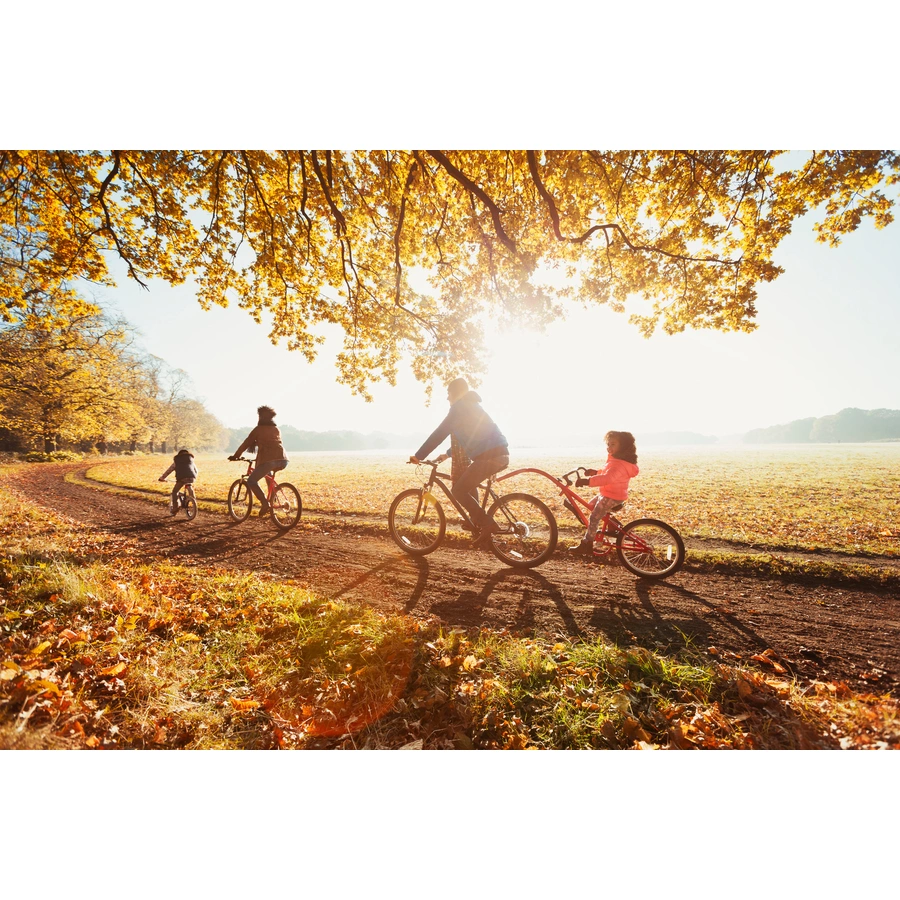 PROMETHEUS BICYCLES® Tandem Fahrradanhänger 18 Zoll Rosa