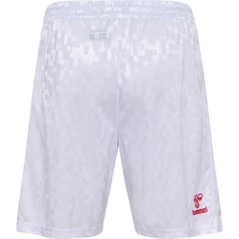 Danmark Hjemmebane Landsholdsshorts 24/25