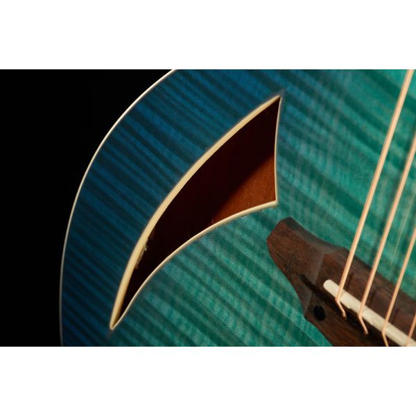 ESP LTD TL-6 Fm AQMB