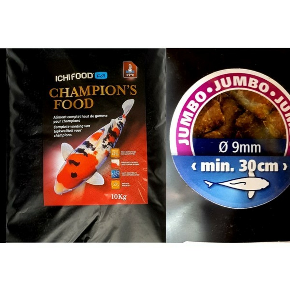 Ichi food champion's 10kg jumbo