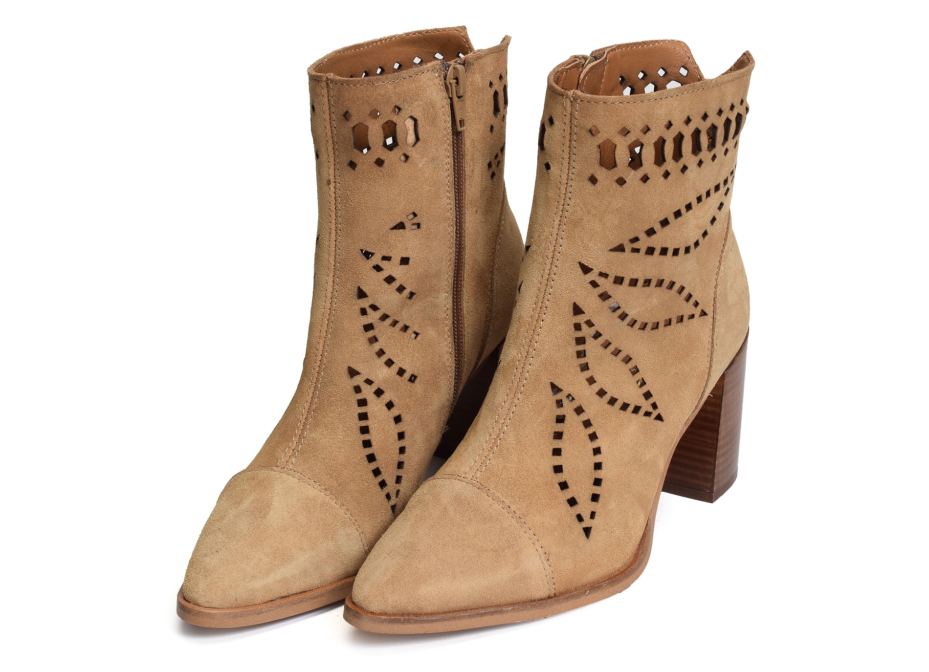 Senses 5031 camel