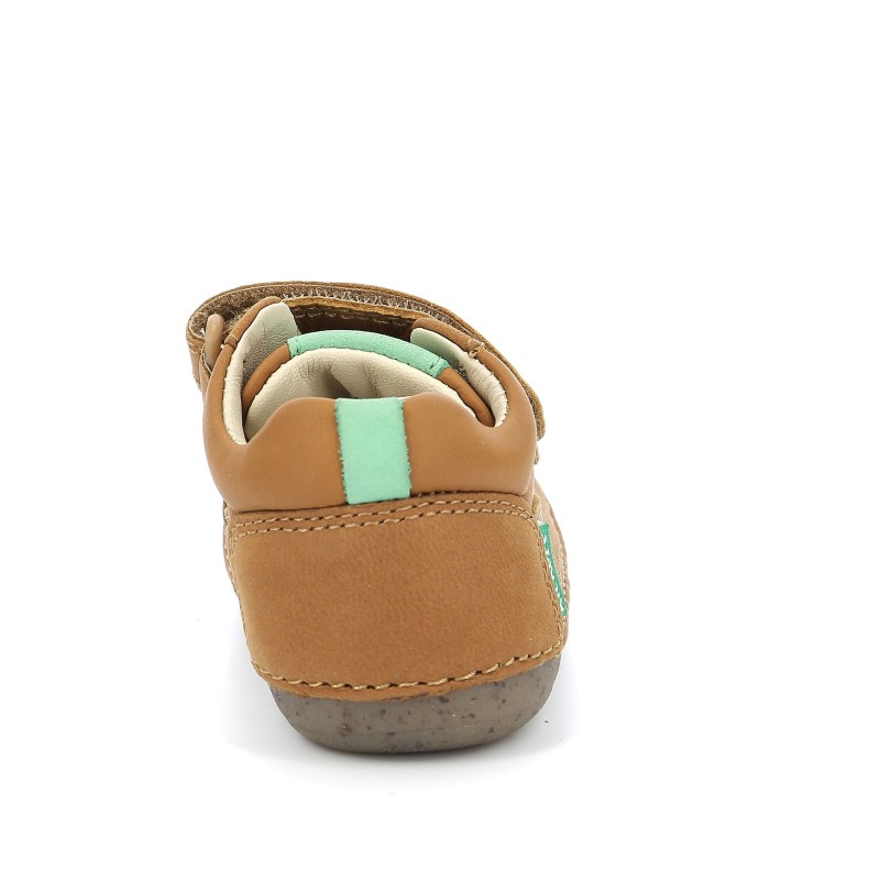 Kickers Kickers Sostankro Camel