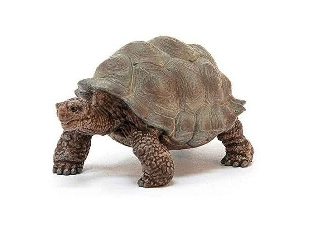 Schleich Safari - Riesenschildkröte