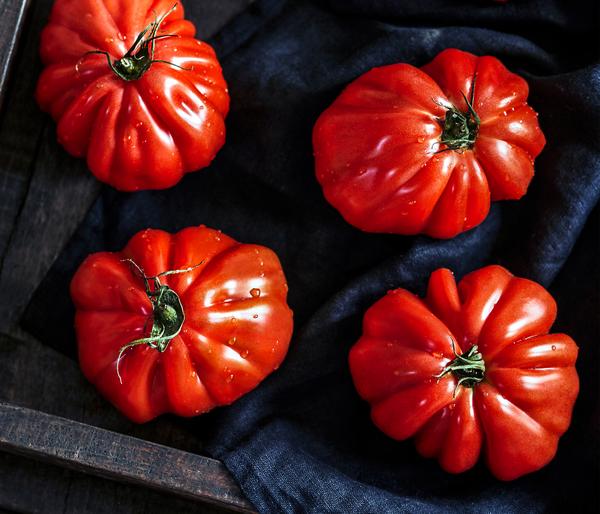 Dehner Gourmet Garten Ochsenherztomate,