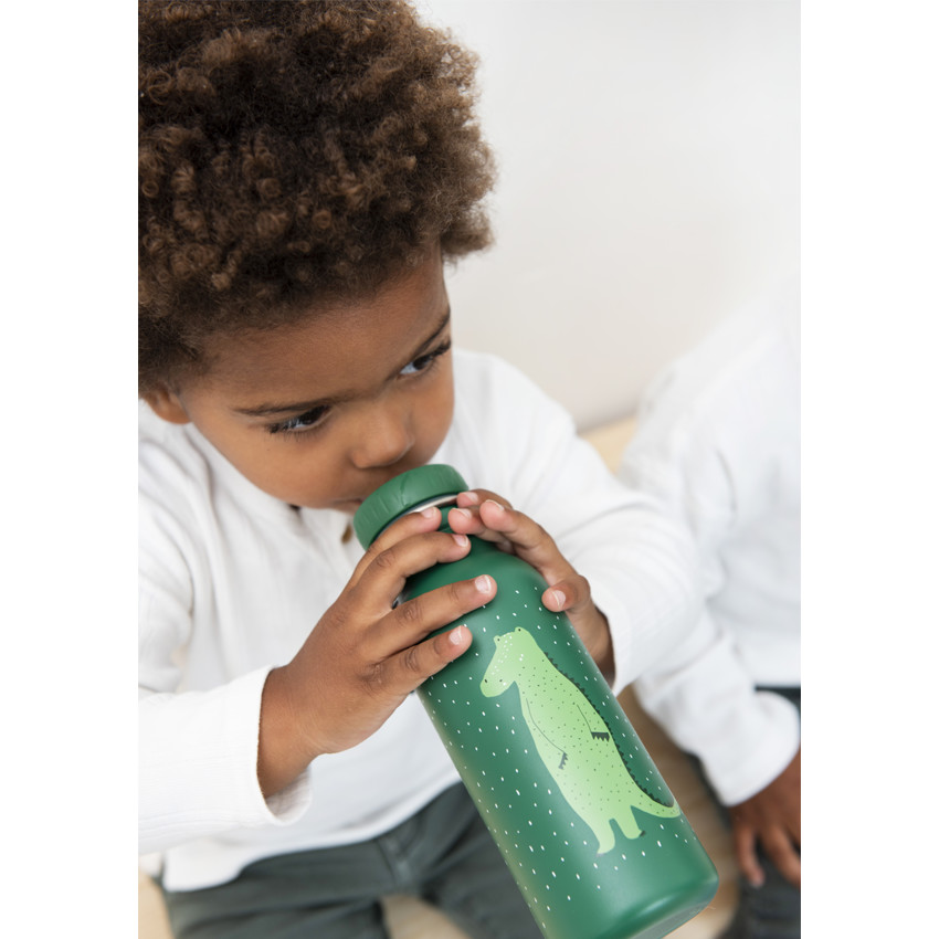 Gourde en acier inoxydable 500 ml - Mr Crocodile vert