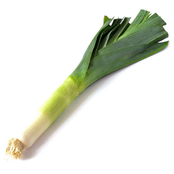 Poireaux de France bio