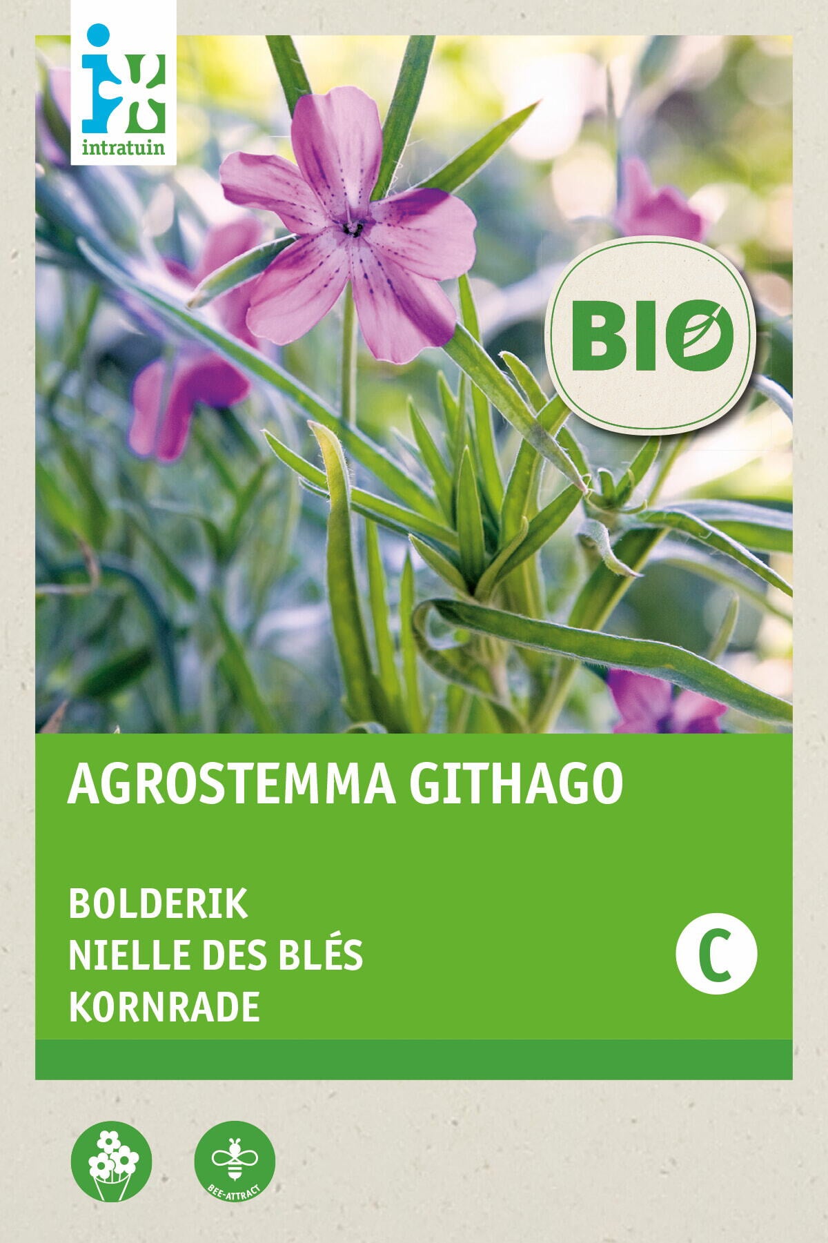Intratuin groentezaad Kapucijners (Pisum sativum 'Grijze roodbloeiende')