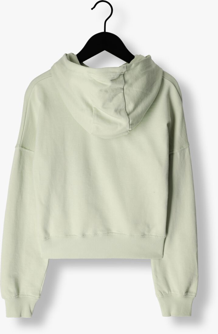 LYLE & SCOTT groene lyle & scott  loose fit lb hoodie