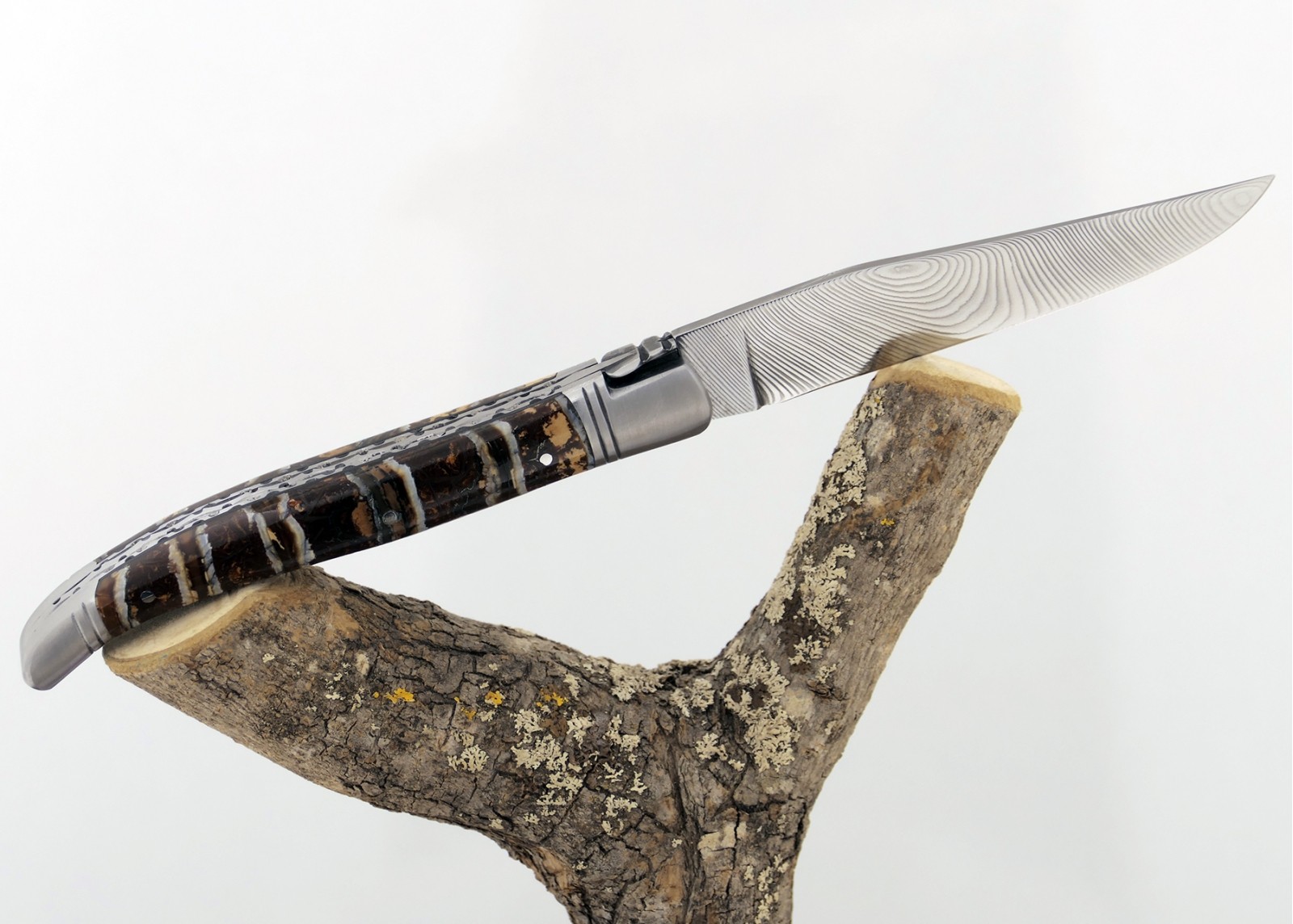 Couteau Laguiole avec un manche en Molaire de Mammouth Fossile