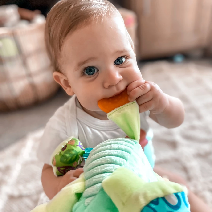 playgro Sensory Friend Drache Dusty
