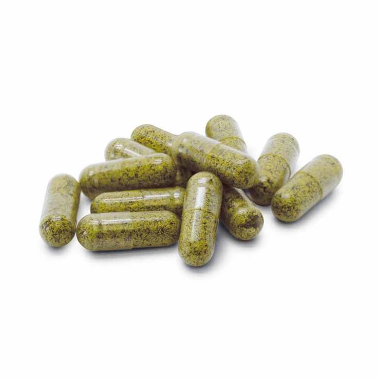Sulfoforte plus Dr. Jacobs Kapseln, 90 St