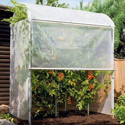 Tomatenhaus Stahlrahmen