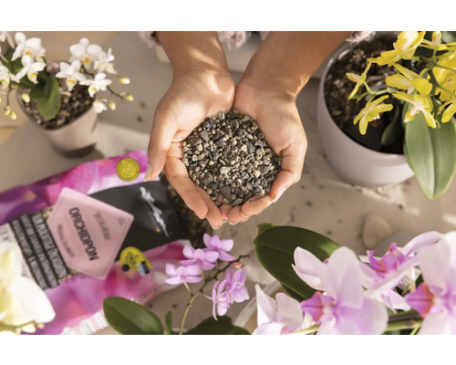 Lechuza Orchidpon plantsubstraat 3 liter