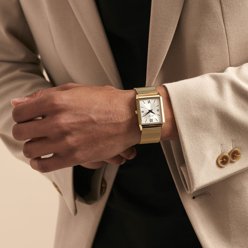 Montre Arctik Quark Argente