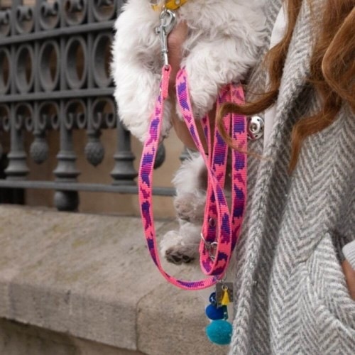 Coleira para cães Lucky Grey Camouflage, rosa