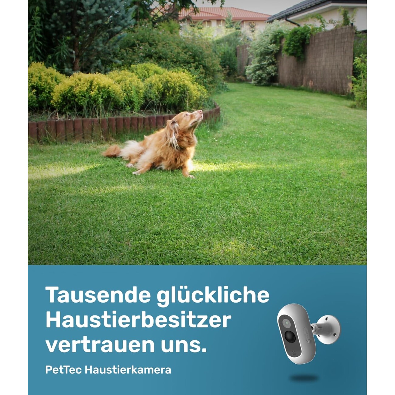 PetTec Pet Cam Free