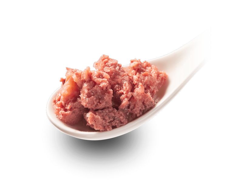 GranataPet Nassfutter Mini Royal Ente & Gans 150 g Alleinfuttermittel für ausgewachsene Hunde kleiner Rassen (Gewicht 1 - 10 kg)