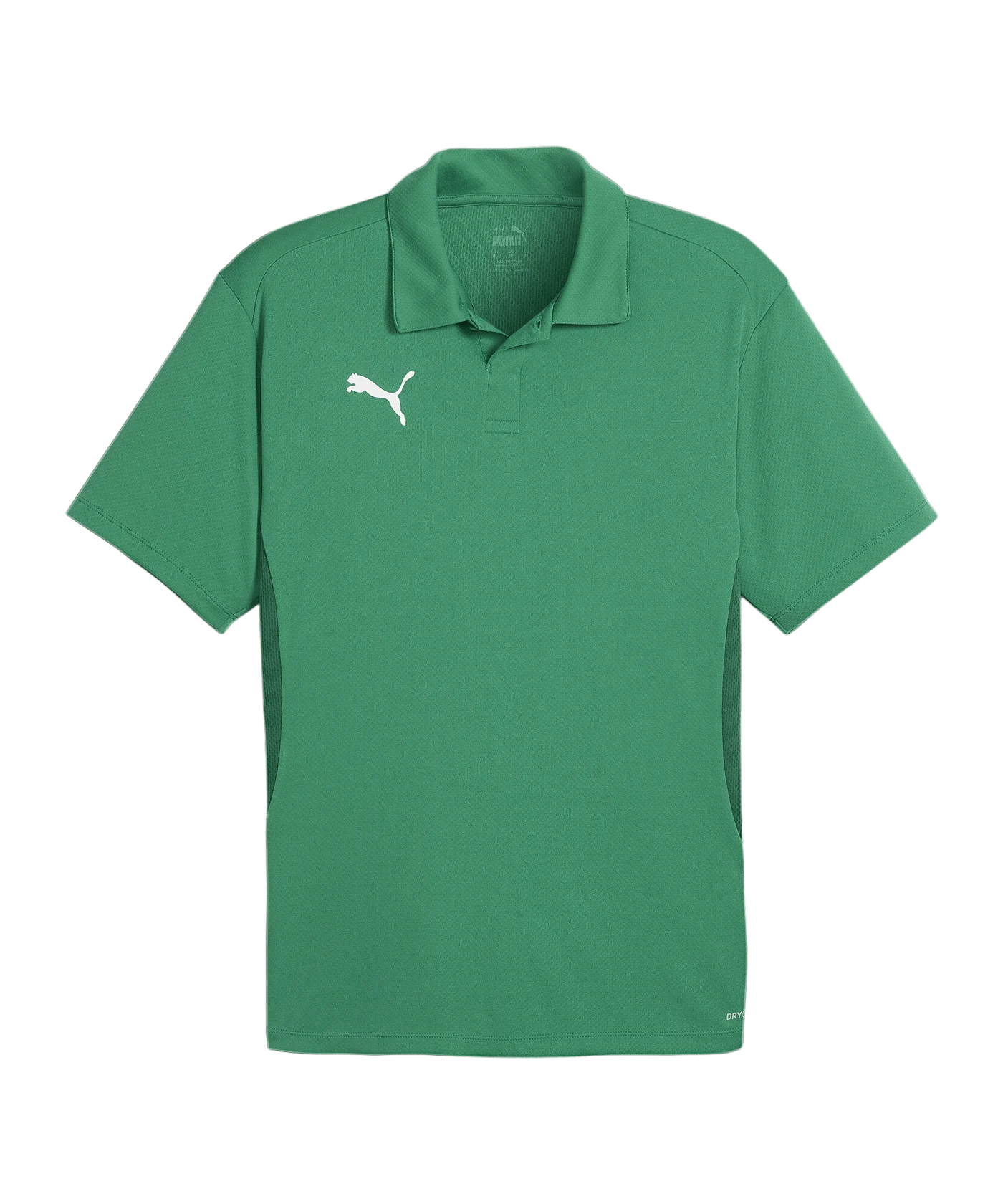 PUMA teamGOAL Poloshirt Grün F05