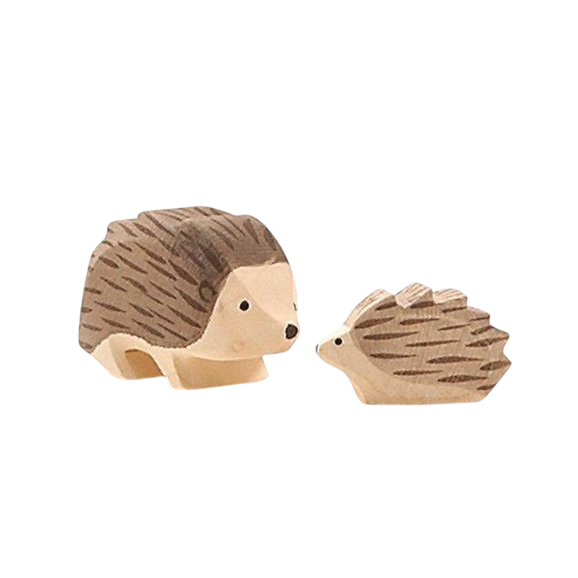 Ostheimer Igel