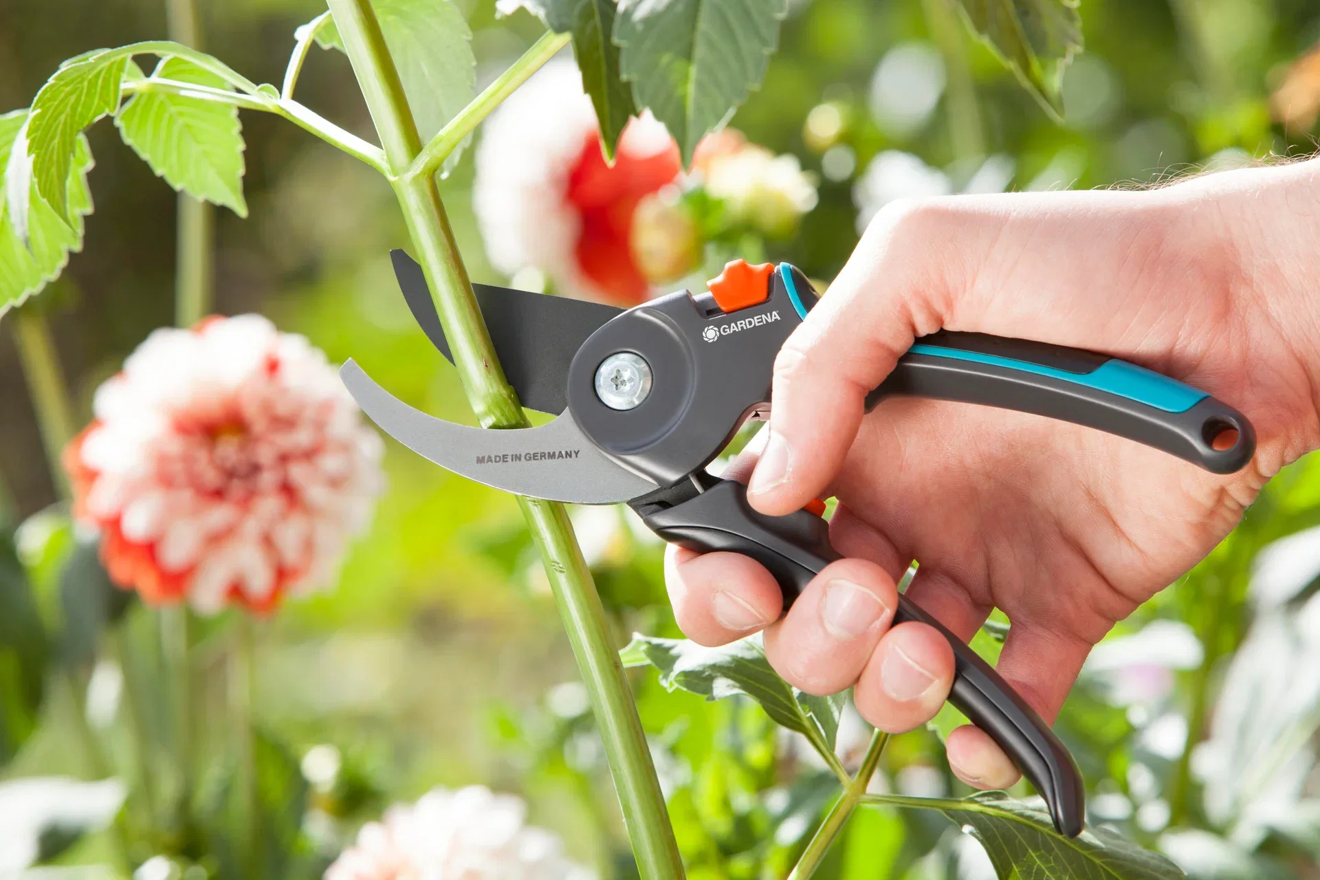 Gardena Beskjæringssaks