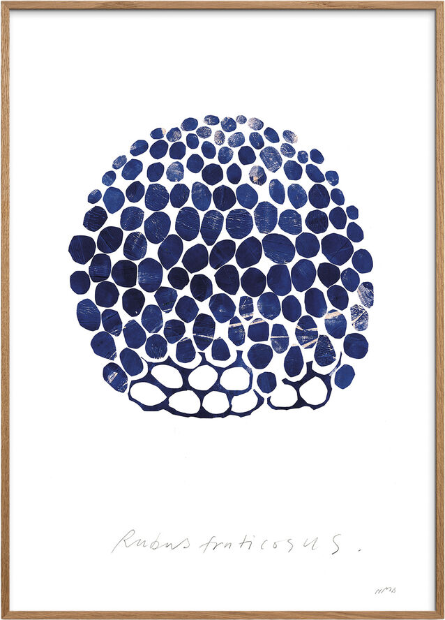 Poster & Frame Rubus Blå & brun