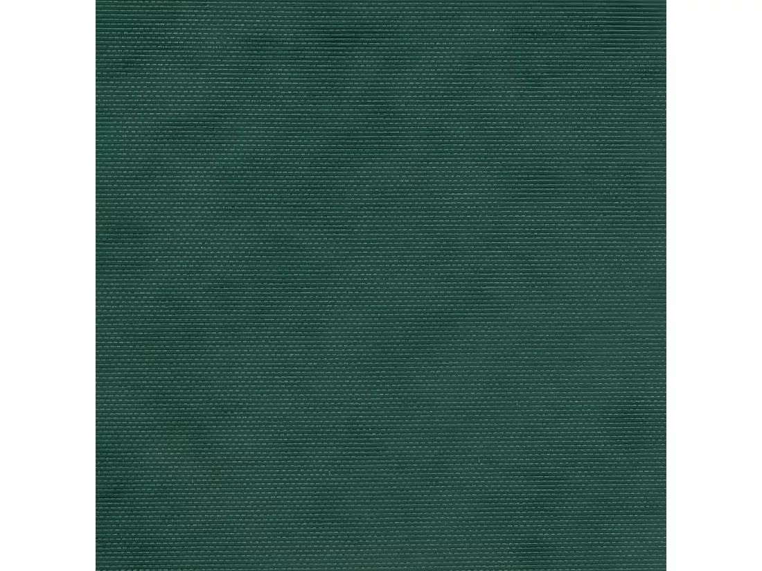 Auvent latéral rétractable vert foncé 200x500 cm
