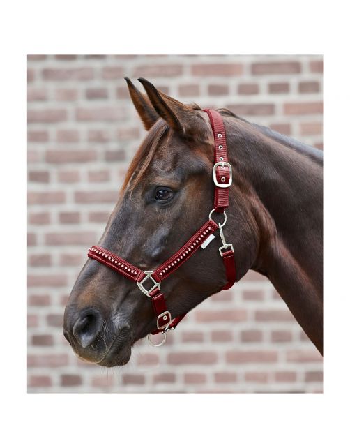Waldhausen Halster Crystal Bordeaux - Paardenhalster