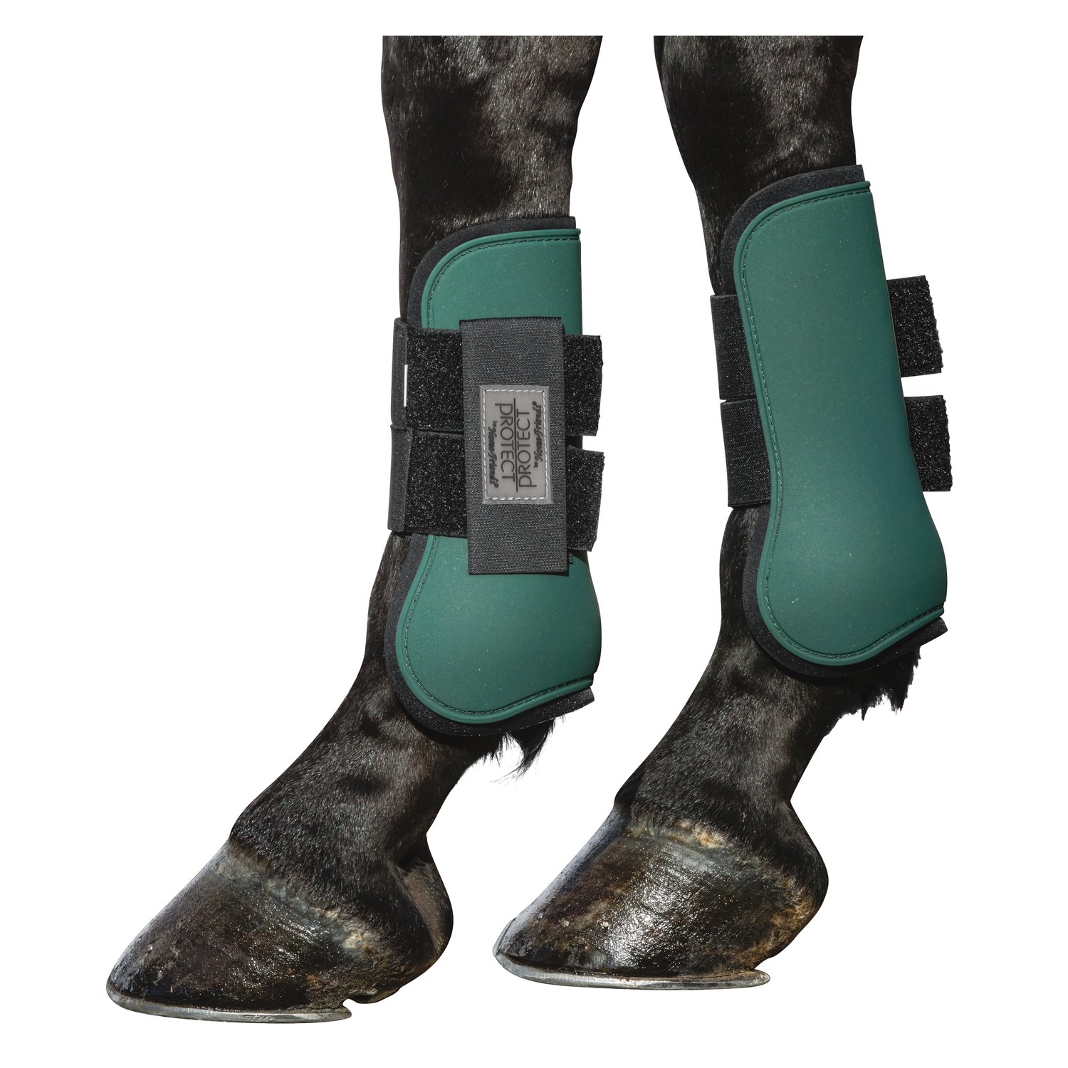 PROTECT by Horse-friends Gamaschen, vorne  - darkgreen