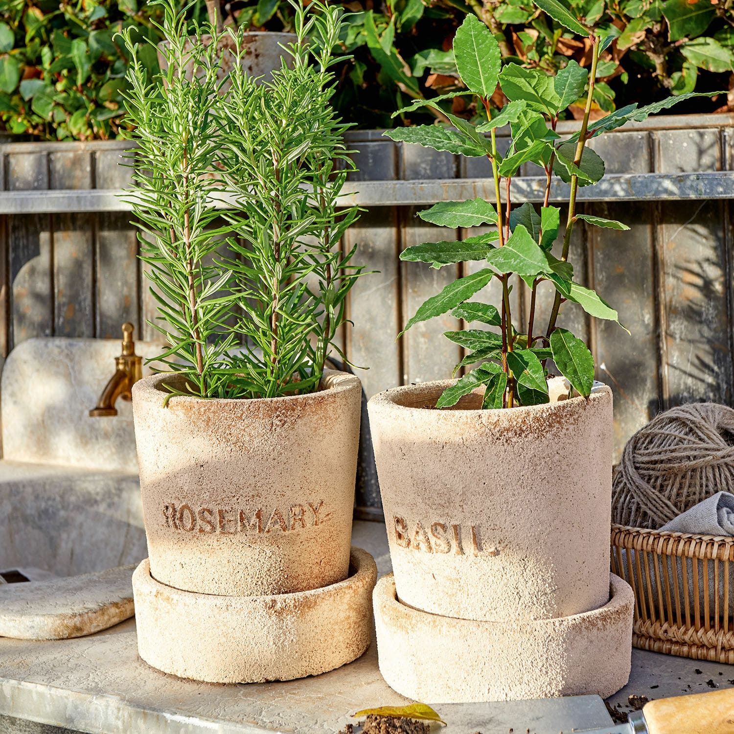 Übertopf 2er Set Basil  &  Rosemary