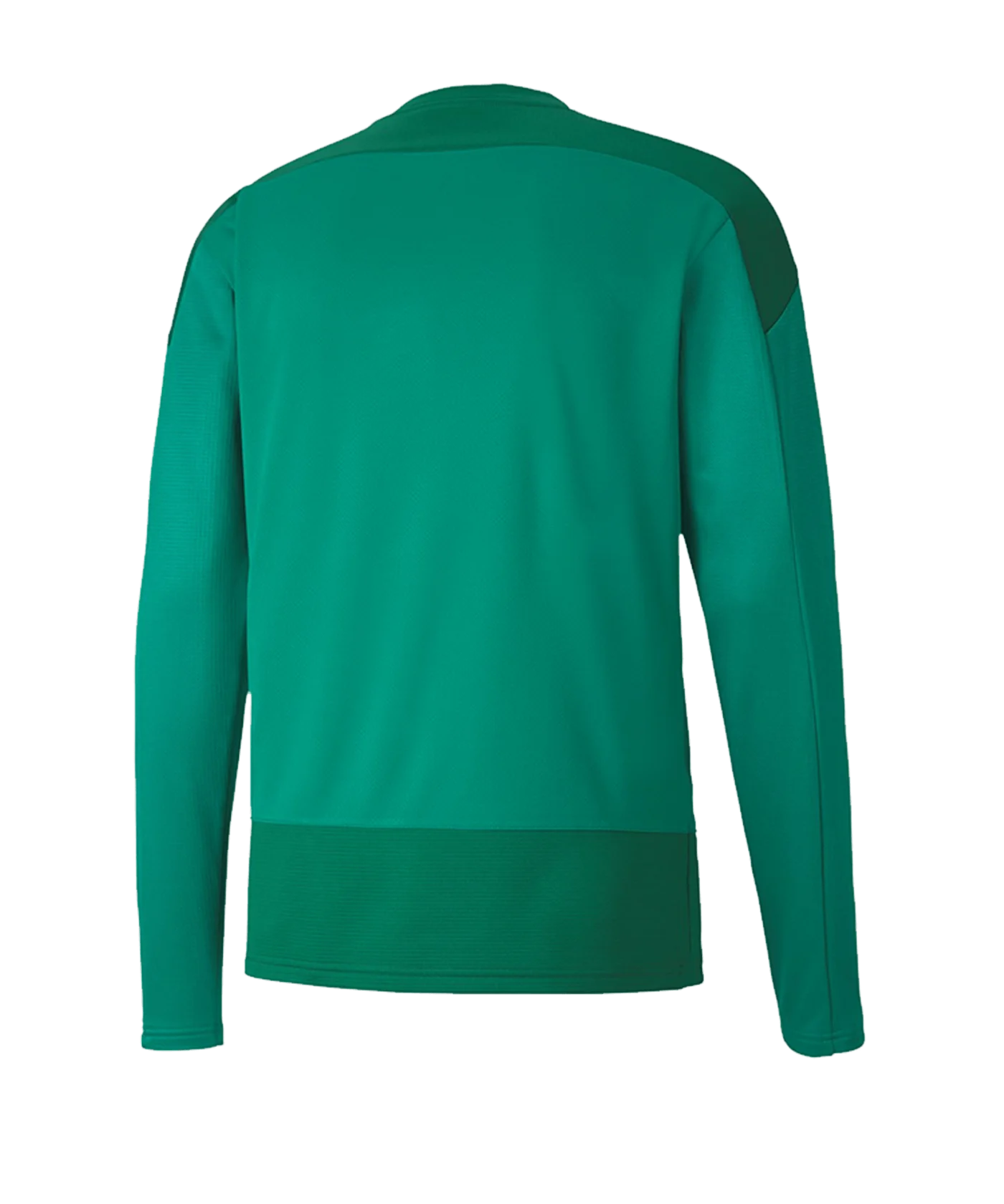 PUMA teamGOAL 23 Training Sweatshirt Kids Grün F05