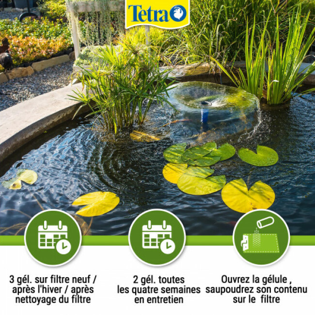 Traitement de l'eau Tetra Pond FilterZym 10 gélules