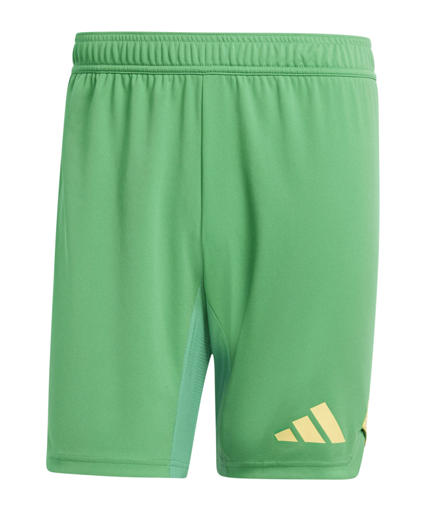 adidas Tiro 24 Pro Torwartshort Grün
