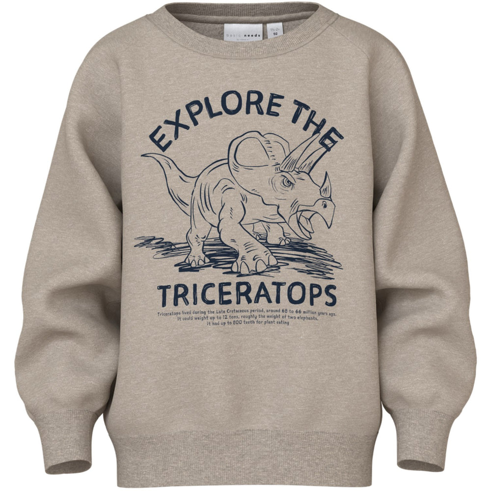 Køb Name It Pure Cashmere Triceratops Vion Regular Sweatshirt
