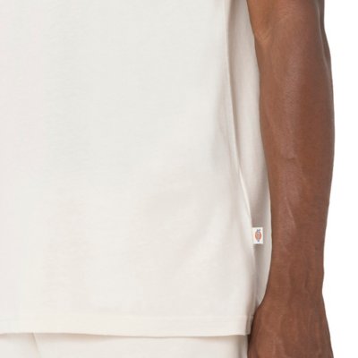 Tee-shirt à manches courtes homme Mapleton DICKIES