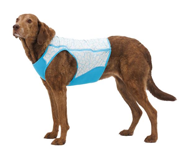 RUFFWEAR® kühlende Hundeweste Swamp Cooler