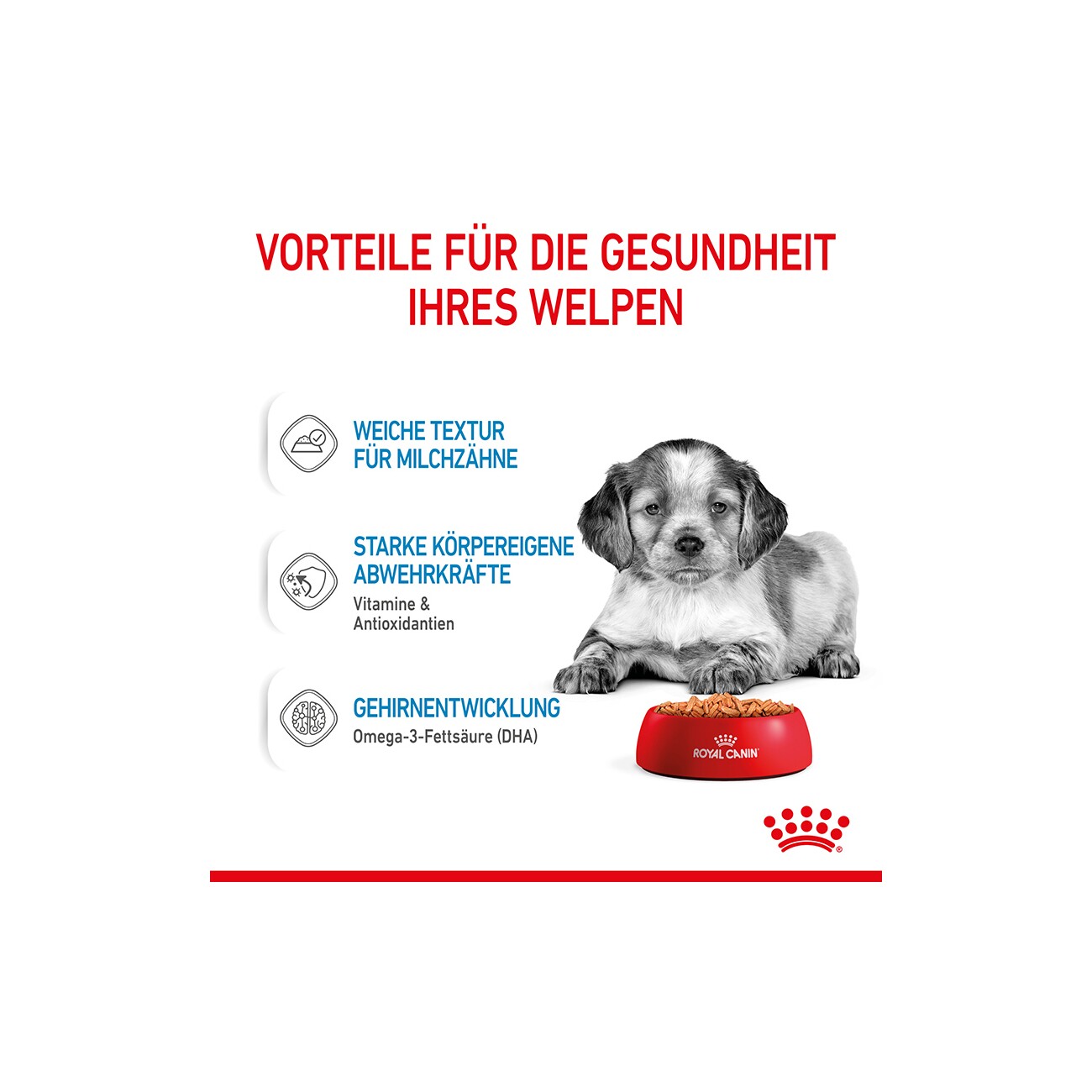 ROYAL CANIN Medium Puppy in Soße 10x140 g