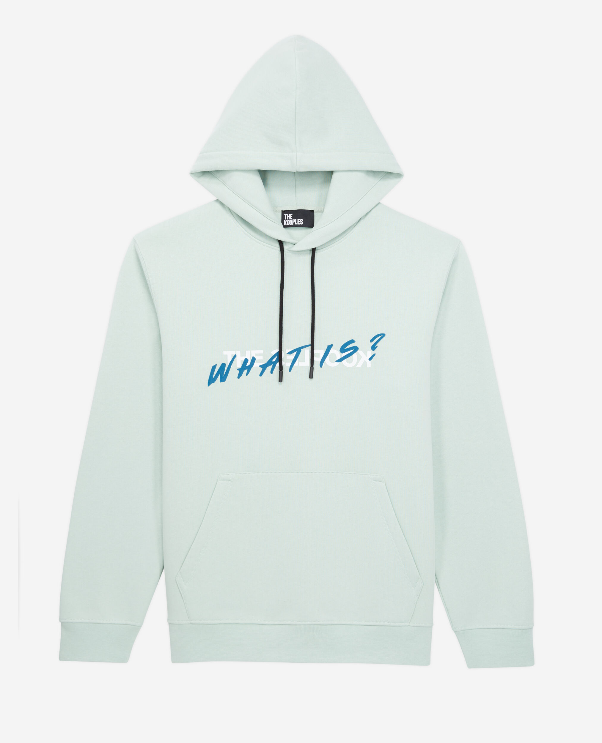 Sweatshirt à capuche What is vert