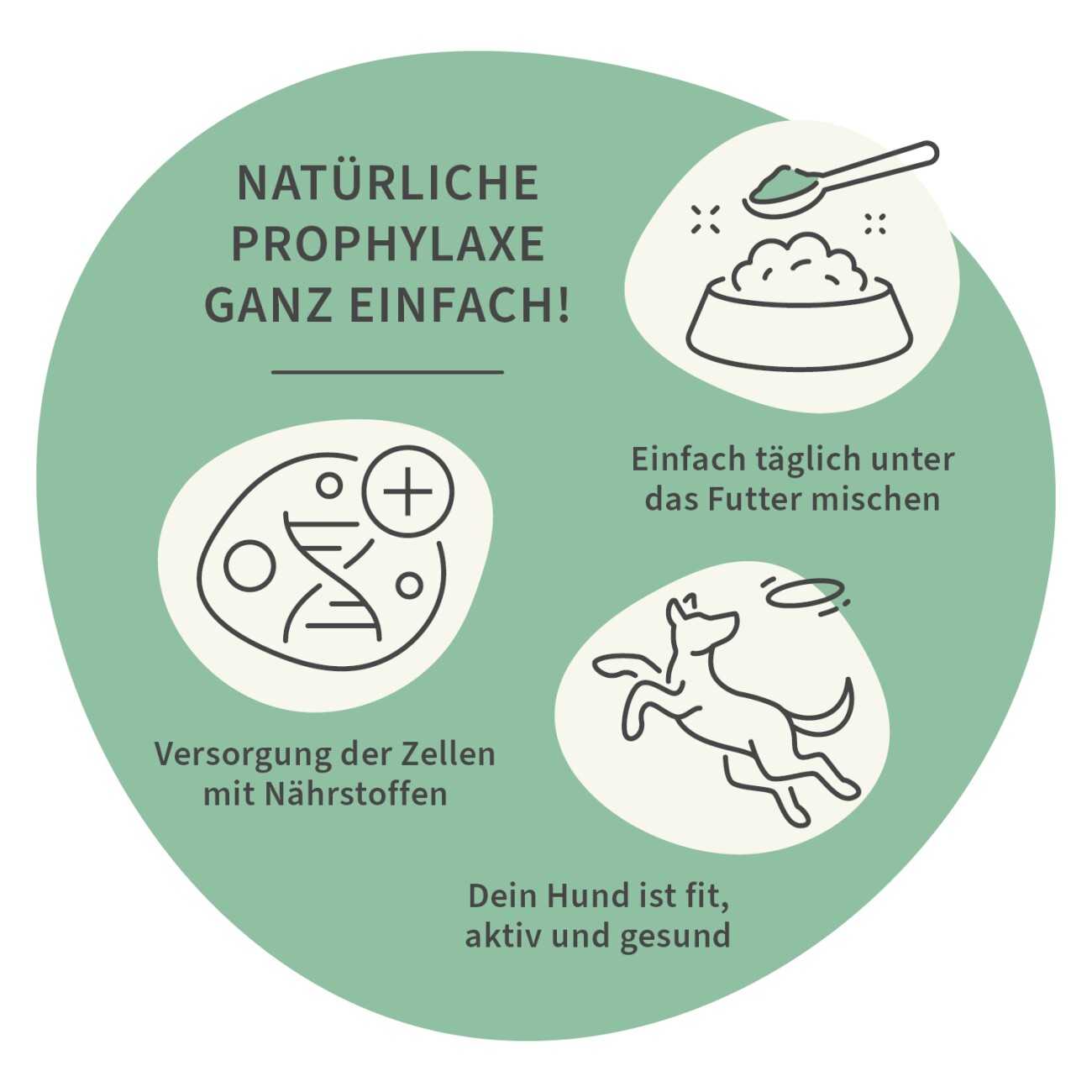 CURAPET Bio Nährstoffpulver für Haut und Fell mit Spirulina - BasisKraft 200g