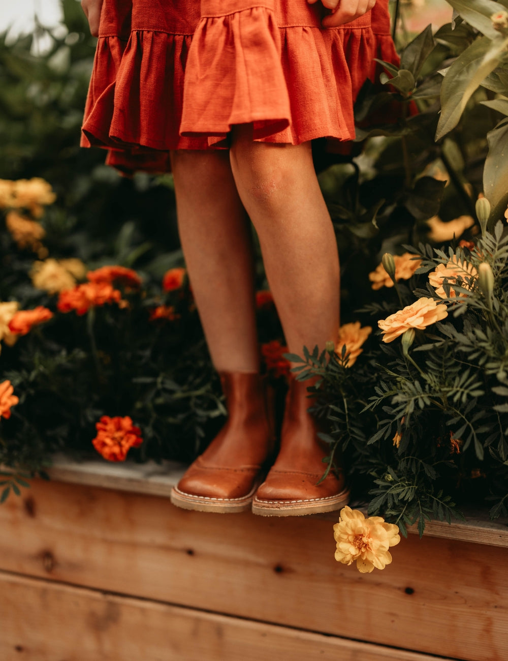 Ankle Boot Stars - Cognac