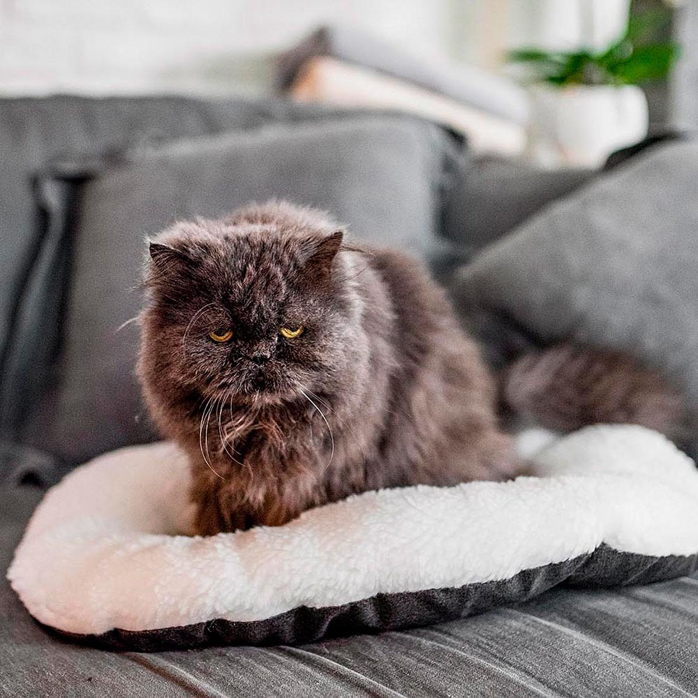 Ferplast panier chien chat - coussin pour chien chat - lavable en machine - tapis chien chat pour niches et voitures - lit pour