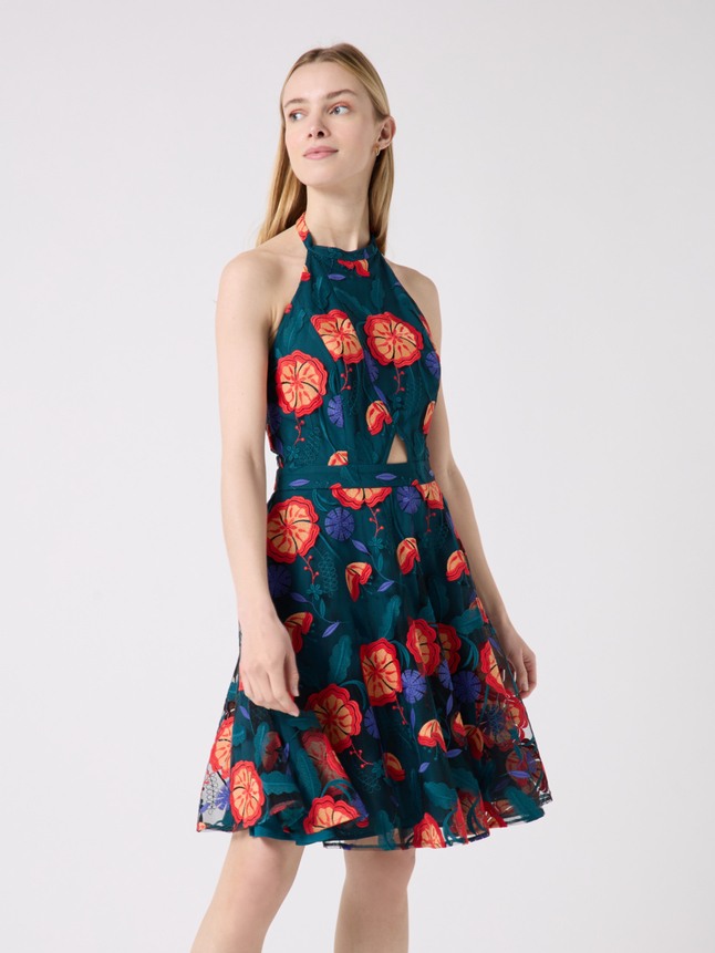 Robe courte dos nu