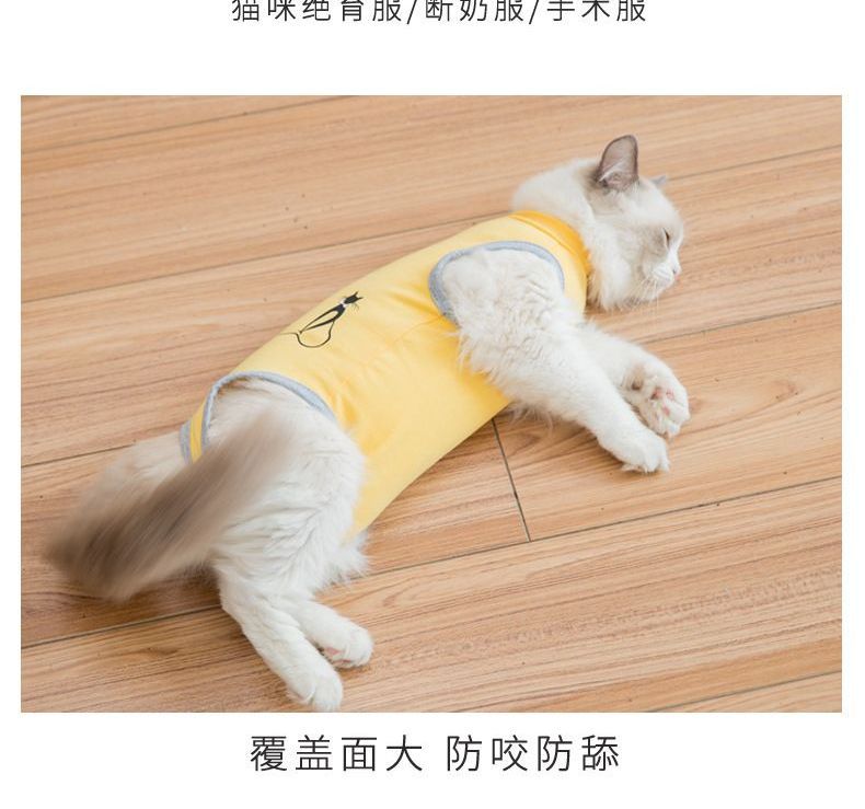Cissilli - Print Pet Top
