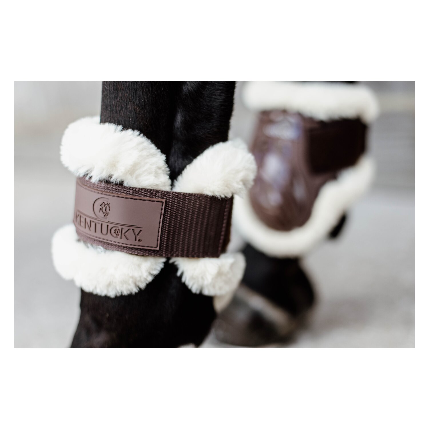 KENTUCKY Fesselkopfgamaschen Young Horse Vegan Sheepskin, für Hinterbeine - brown