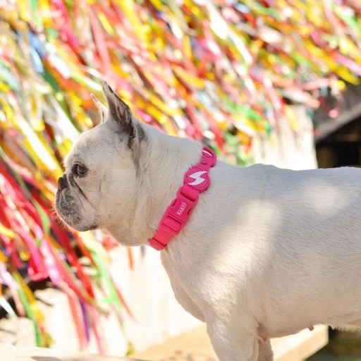 Coleira para cães Dashi Colorflex rosa em TPU