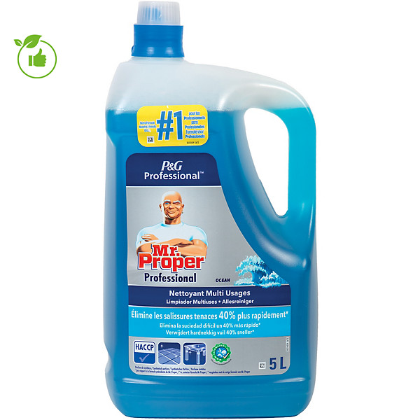 Nettoyant multi-usages HACCP Mr Proper Professional océan 5 L