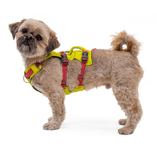 RUFFWEAR® Hundegeschirr Flagline Harness 2.0