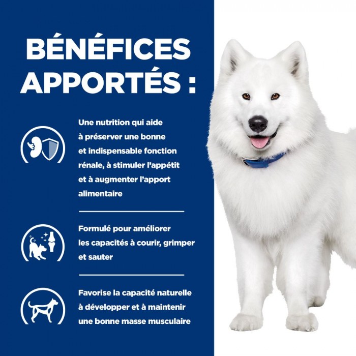 HILL'S Prescription Diet k/d j/d Kidney + Mobility - Croquettes pour chien