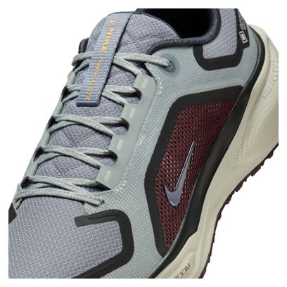 Chaussures Running Nike Pegasus 41 GTX Gris/Bleu Homme